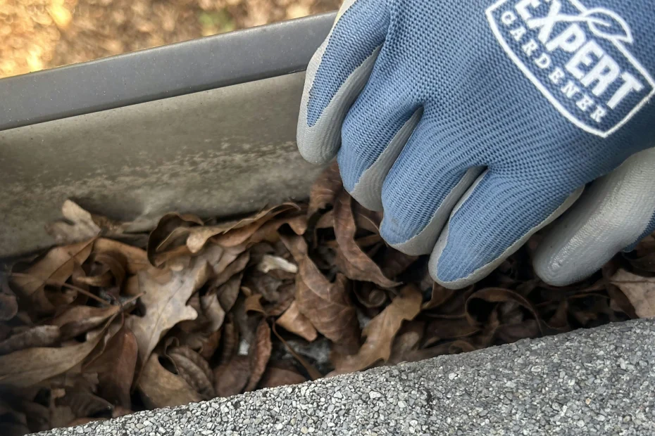 Gutter Cleaning Landrum