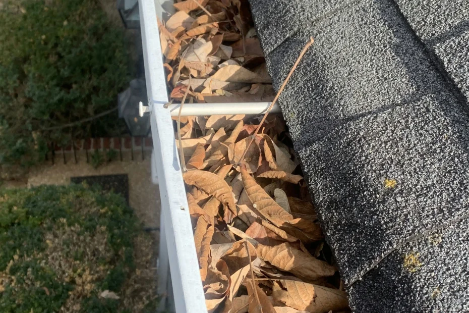 Gutter Cleaning Landrum