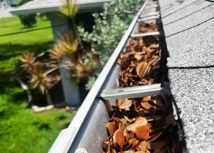 Gutter Cleaning Landrum home page